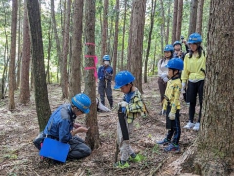 間伐作業について、指導員さんよりレクチャー 間伐作業について、指導員さんよりレクチャー