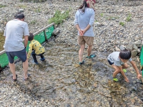 急な斜面を安全な森レールで移動